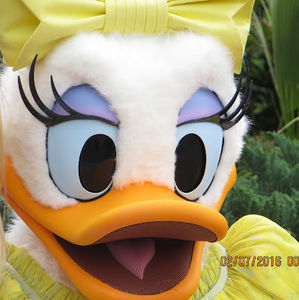 Meet your Posher, Yvette